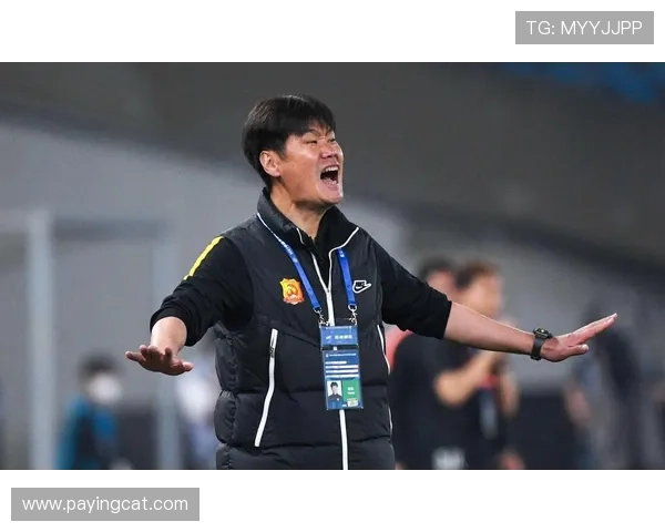 李姓男足球明星的辉煌历程与成就揭秘