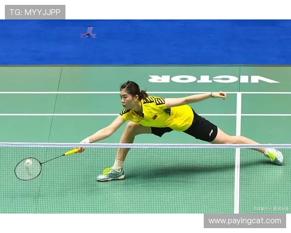 成都羽毛球队在锦标赛中的精彩表现与实力分析