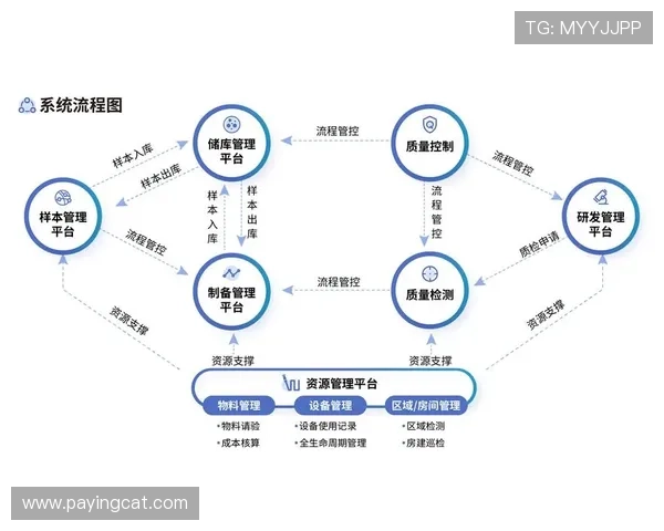 深圳网球队防守革新之路：从传统到现代的全面转型与实践探索