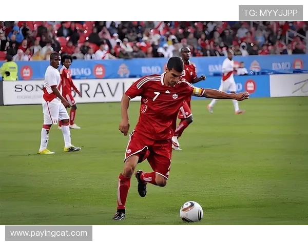 加拿大足球明星的崛起与成就探讨他们如何改变了国家足球的未来