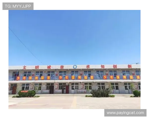 杭州排球队在钻石联赛中的心理素质表现分析与反思